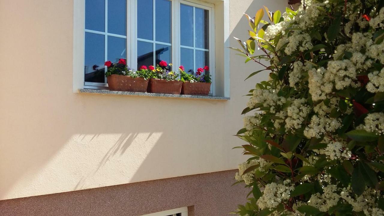 Apartments Place4You Bjelovar Exterior foto